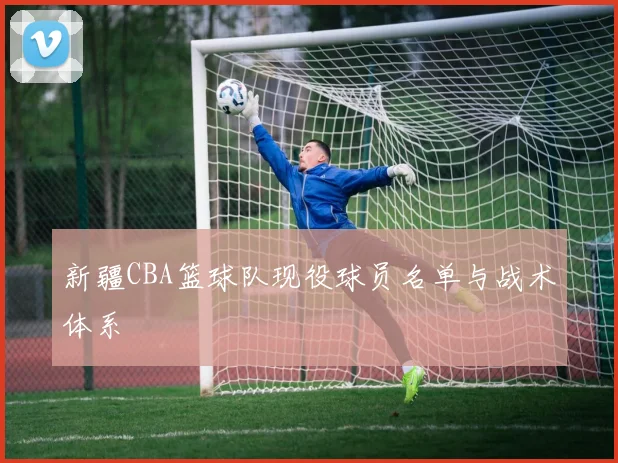 新疆CBA篮球队现役球员名单与战术体系