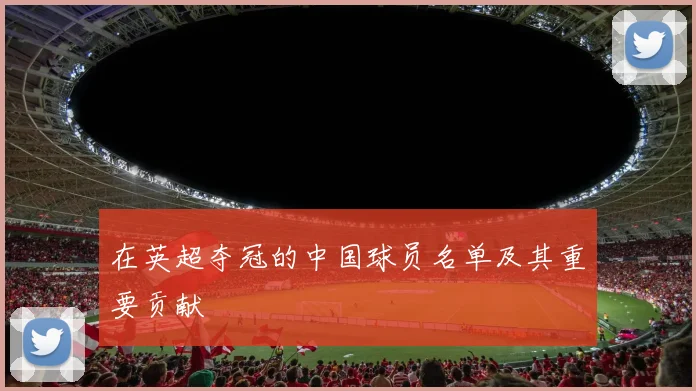 在英超夺冠的中国球员名单及其重要贡献