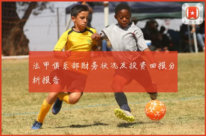 法甲俱乐部财务状况及投资回报分析报告